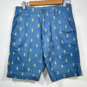 Plugg Flex Men's Bermuda Shorts Blue Pineapple Print Size 29